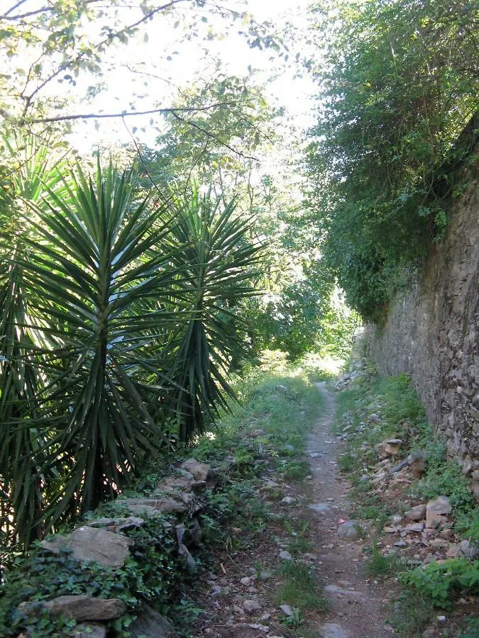 Acquarello Apartment Sori